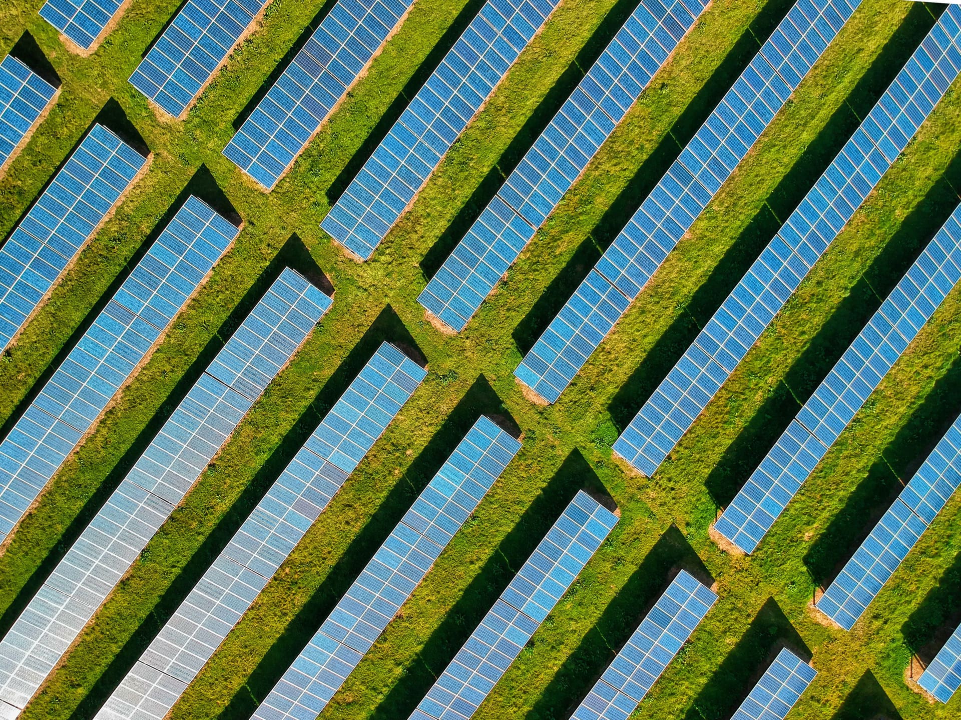Aerial view of a solar farm with rows of panels in a green field.